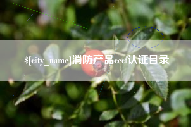 京山消防产品cccf认证目录