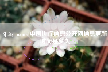 京山中国执行信息公开网信息更新时间是多久