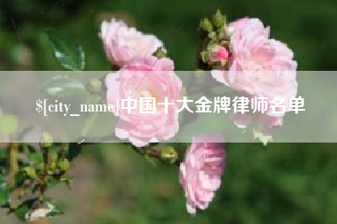 京山中国十大金牌律师名单