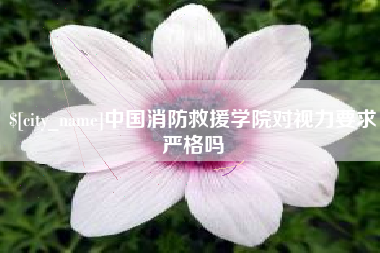 京山中国消防救援学院对视力要求严格吗