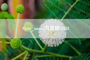京山九宫格42633
