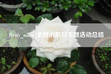 京山全国消防日主题活动总结