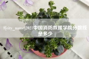 京山2021中国消防救援学院分数线是多少