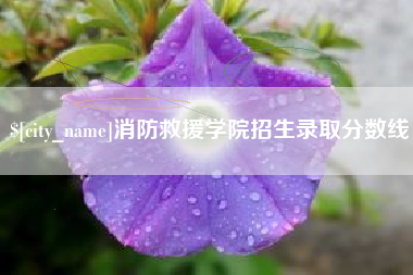 京山消防救援学院招生录取分数线