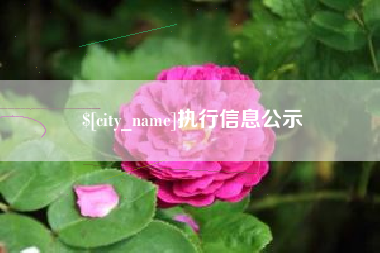 京山执行信息公示