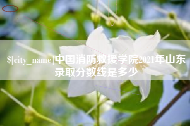 京山中国消防救援学院2021年山东录取分数线是多少