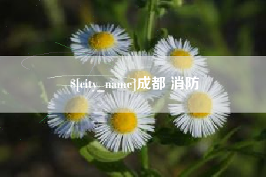 京山成都 消防