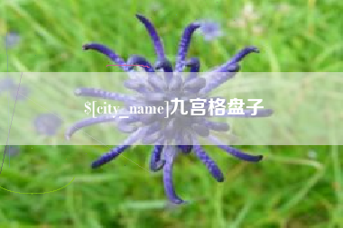 京山九宫格盘子