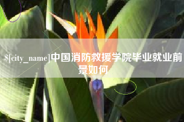 京山中国消防救援学院毕业就业前景如何