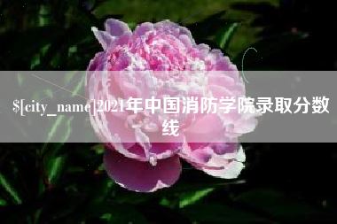京山2021年中国消防学院录取分数线