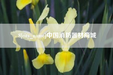 京山中国消防器材商城