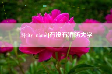京山有没有消防大学