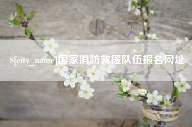 京山国家消防救援队伍报名网址
