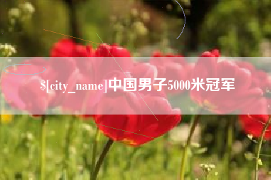 京山中国男子5000米冠军