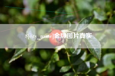 京山金牌图片真实