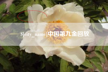 京山中国第九金回放