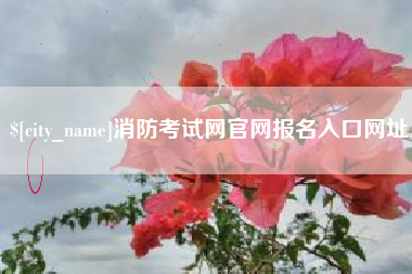 京山消防考试网官网报名入口网址