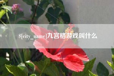 京山九宫格游戏叫什么