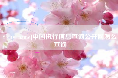京山中国执行信息查询公开网怎么查询
