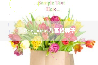 京山九宫格牌子