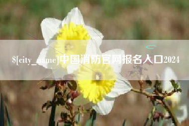 京山中国消防官网报名入口2024