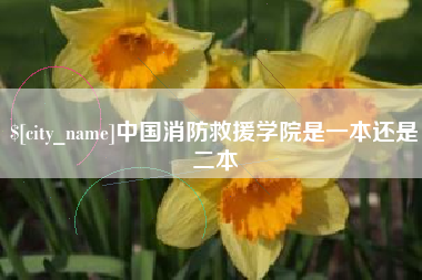京山中国消防救援学院是一本还是二本