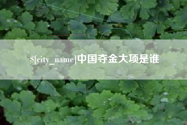 京山中国夺金大项是谁