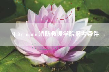 京山消防救援学院报考条件