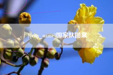 京山国家队图案