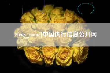 京山中国执行信息公开网