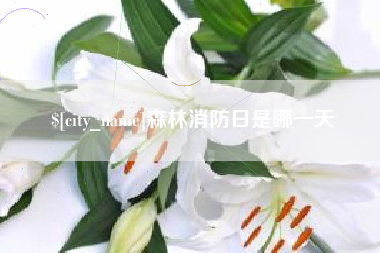 京山森林消防日是哪一天