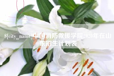 京山中国消防救援学院2020年在山东招生计划表