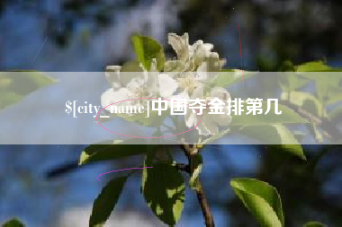 京山中国夺金排第几