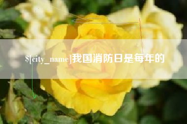 京山我国消防日是每年的