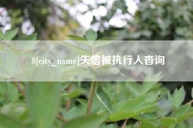 京山失信被执行人杳询