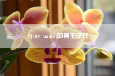 京山邱县王子磊