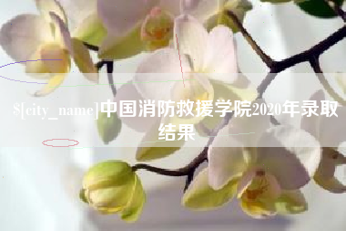 京山中国消防救援学院2020年录取结果