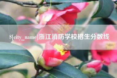 京山浙江消防学校招生分数线