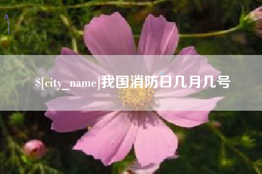 京山我国消防日几月几号