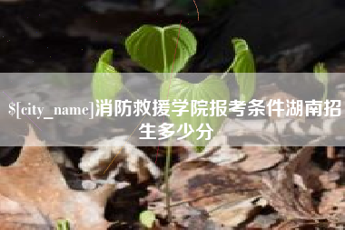 京山消防救援学院报考条件湖南招生多少分