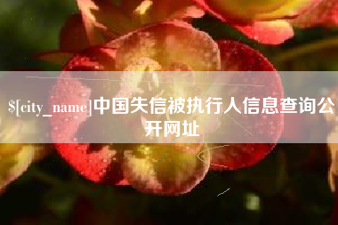 京山中国失信被执行人信息查询公开网址