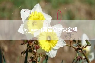 京山奥运会39块金牌