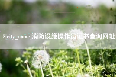 京山消防设施操作员证书查询网址