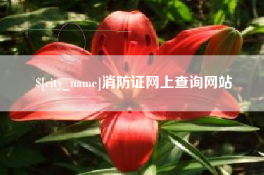 京山消防证网上查询网站