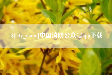 京山中国消防公众号app下载