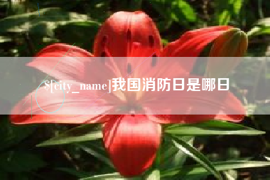 京山我国消防日是哪日
