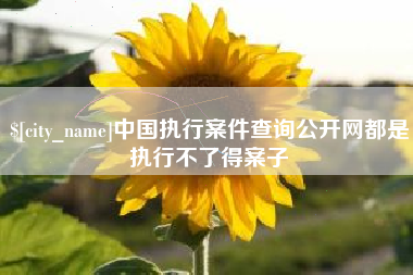 京山中国执行案件查询公开网都是执行不了得案子