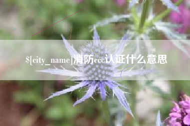 京山消防ccc认证什么意思