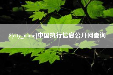京山中国执行信息公开网查询