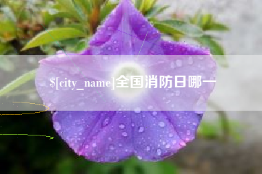 京山全国消防日哪一